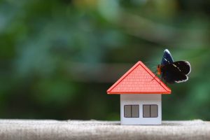 Finding Investment Property