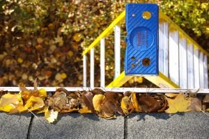 Prep Rental Properties