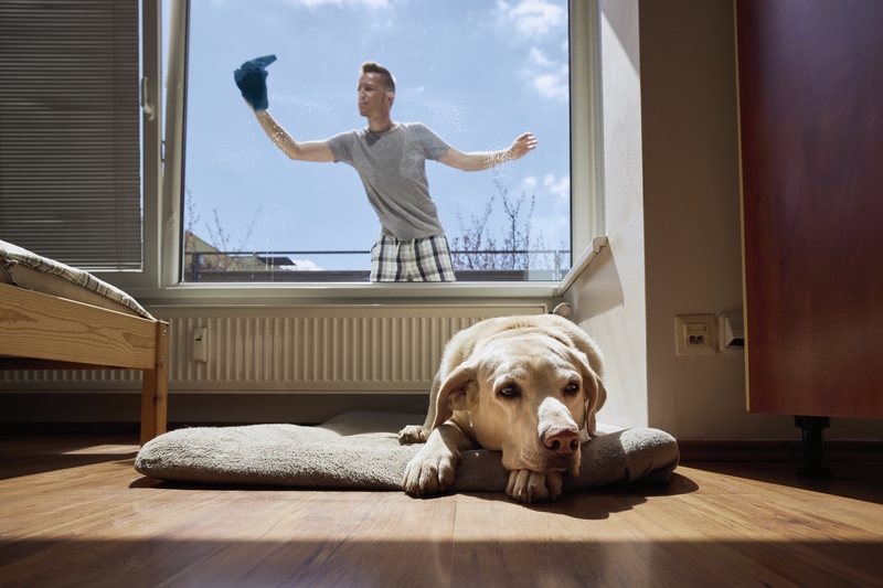 Pros and Cons of Allowing Pets in Your Rental Unit - GIL Property Management - Rental Property Calgary - Featured Image