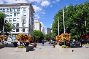 Calgary rental property