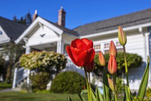 A Guide to Revitalizing Your Rental Property for Spring