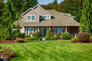 A house with a wide green lawn, trees, and flowers.